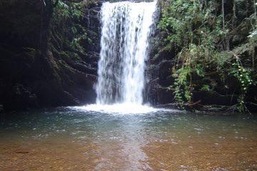 Cachoeira do Engenho_Alice Okawara
